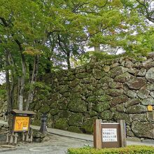 小諸城址 懐古園