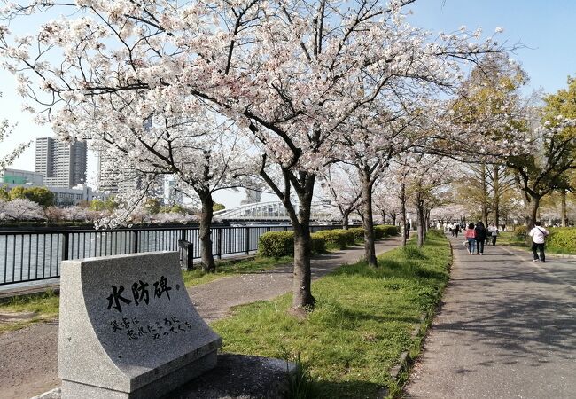 明治大洪水の教訓