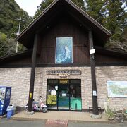 場違いな感じの水族館