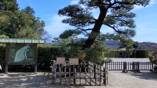 冬も趣があって奇麗