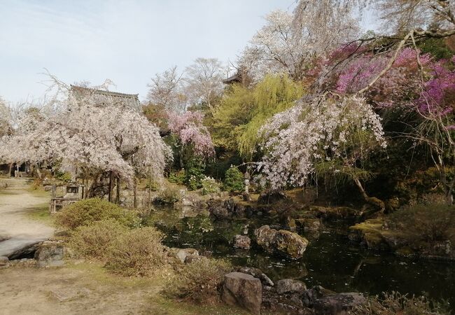 竹林院群芳園(庭園)