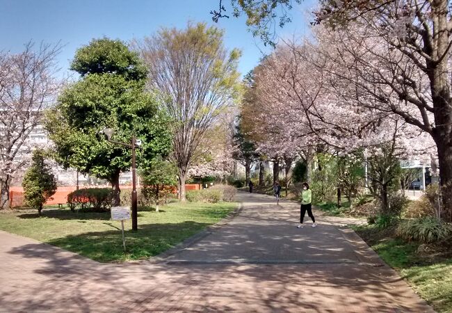 西ヶ原みんなの公園