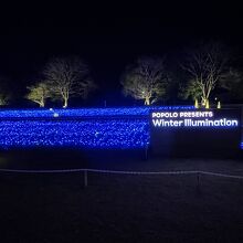 三原市芸術文化センター冬の祭りウィンターイルミネーション。