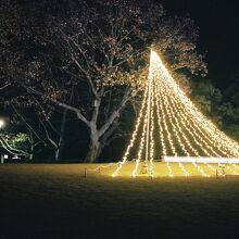 三原市芸術文化センター冬の祭りウィンターイルミネーション。