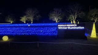 冬の祭り Winter Illumination