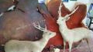 小さいけれど中身はしっかり