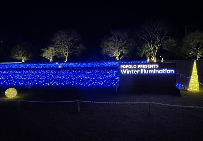 冬の祭り Winter Illumination