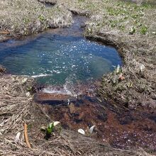 竜宮現象（伏流点）。水が吸い込まれるところ