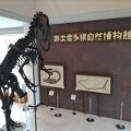 生命の歴史をわかりやすく展示