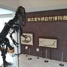 1階ロビーにある恐竜骨格。