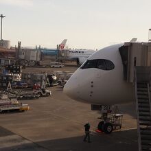 羽田空港に到着したA３５０