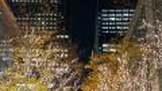 イルミネーションが素敵