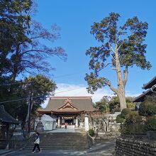 矢奈比売神社 (見付天神)