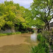 新緑の八幡堀