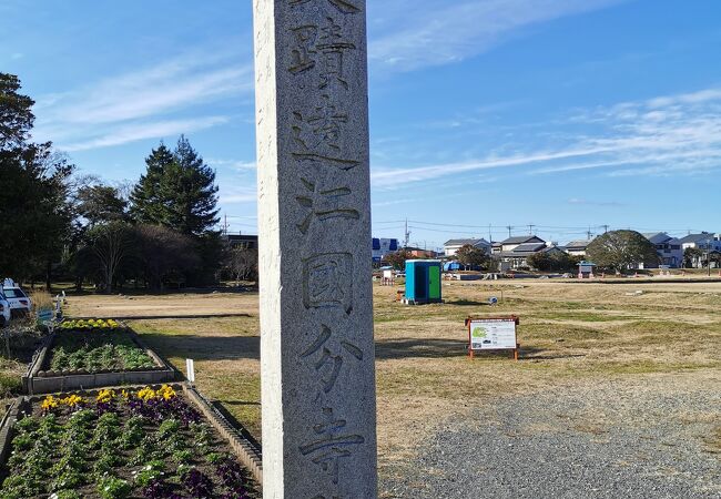 遠江国分寺跡