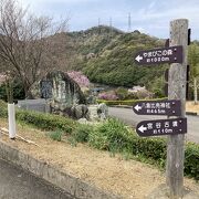 規模の大きい史跡公園