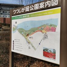 つつじが岡公園