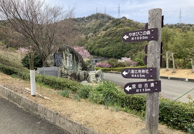 規模の大きい史跡公園