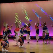 阿波踊りは年中無休