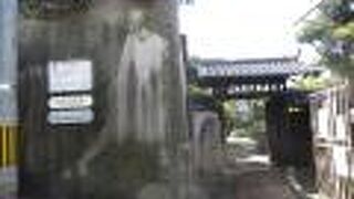 お庭が綺麗です