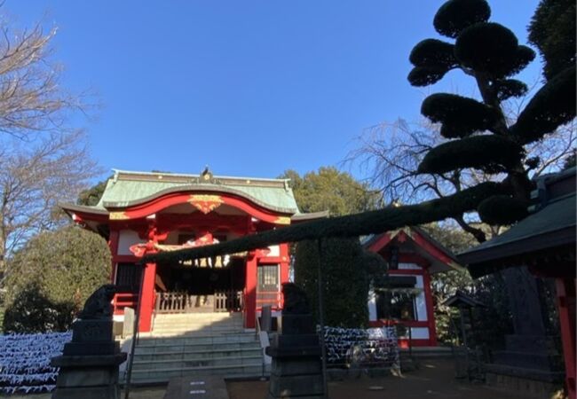 植木の枝が横切る