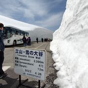 雪の大谷を見に