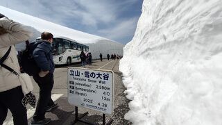 雪の大谷を見に