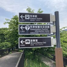 河津桜の看板です