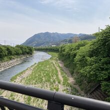 河津桜が咲いてない観光地