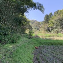 佐土原城跡の風景