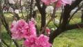 飯坂温泉近くに