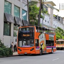 前はピンクライン、後ろはレッドライン