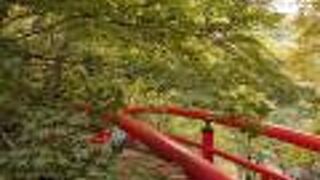 まだ早かったか…