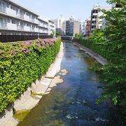 川岸には花が咲いていて綺麗でした