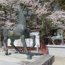相馬中村神社入口の馬の像周りも桜色の春