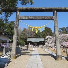 公園内には、相馬中村神社とは別の相馬神社もあります。