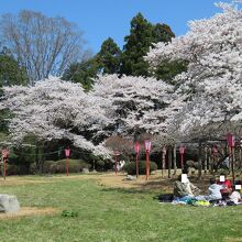 相馬神社そばの草地には、お花見で来ている家族連れの姿が