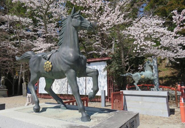 相馬野馬追の出陣式が行われる相馬中村神社がある公園。今回は桜の時期に訪れてみました。