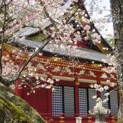 製塩法を人々に教えたとされる塩土老翁神を祀る神社。できれば桜の時期に行ってみましょう。