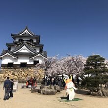 ひこにゃんは人気ですね