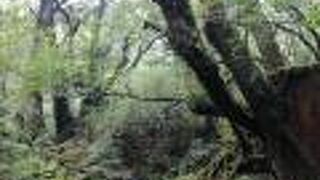 空気が違いました