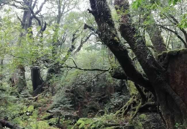 空気が違いました