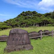 久米島 五枝の松