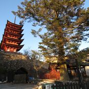 厳島神社を見学後に近くを通ったので、見えました。