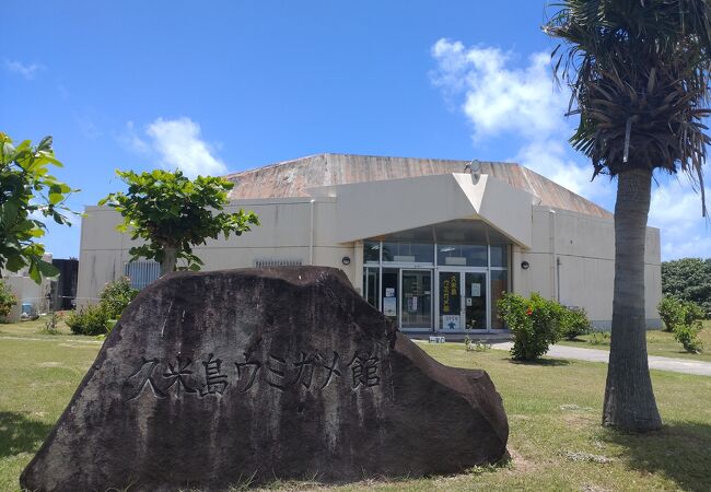 久米島 ウミガメ館