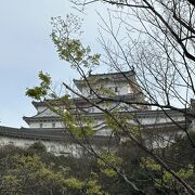 姫路城 (姫路公園) 