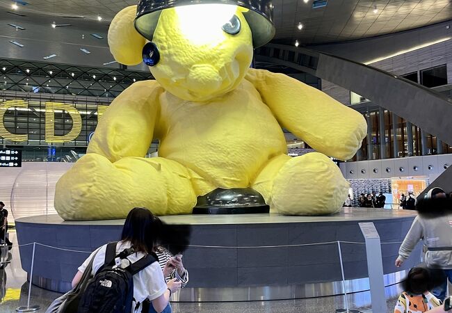 広い、綺麗、素晴らしい