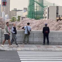 橋からの景色です