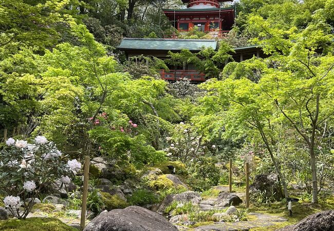 高野寺