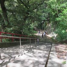 海抜0mから68m登る愛宕神社参道は大変どころじゃないです。